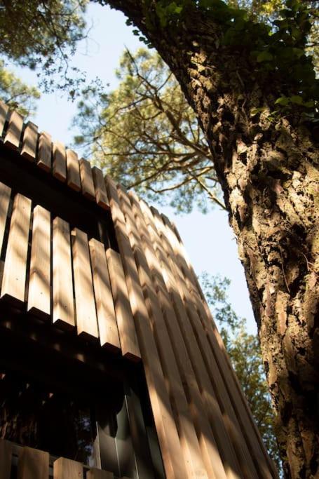 Vaimiti, Cabane Cosy Sous Les Pins Saint-Brévin-les-Pins Exterior foto